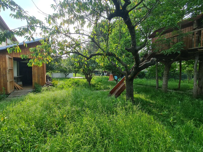 Buftea, Ilfov, centru, Iuliu Maniu 10.