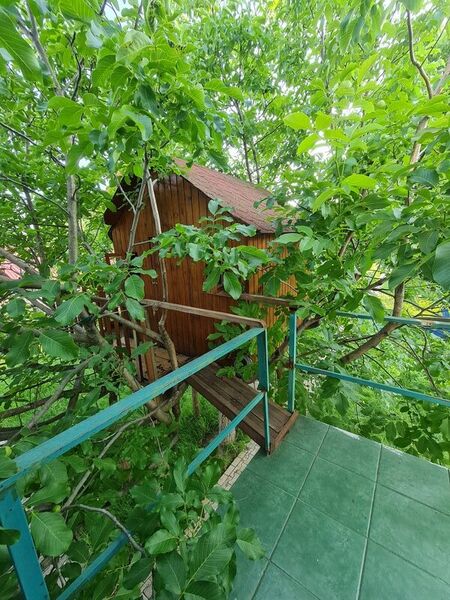 Buftea, Ilfov, centru, Iuliu Maniu 10.