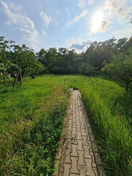 Buftea, Ilfov, centru, Iuliu Maniu 10.