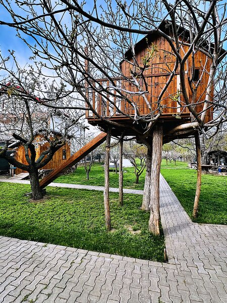 Buftea, Central.